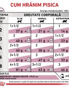 ROYAL CANIN VETERINARY DIET ROYAL CANIN VD Renal Vită dietă veterinară plic hrană umedă pisici sistem renal (în sos) bax 85g x 12buc