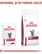 ROYAL CANIN VETERINARY DIET ROYAL CANIN VD Renal Vită dietă veterinară plic hrană umedă pisici sistem renal (în sos) bax 85g x 12buc