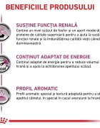 ROYAL CANIN VETERINARY DIET ROYAL CANIN VD Renal XS-XL dietă veterinară conservă hrană umedă câini sistem renal (pate) 410g