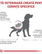 ROYAL CANIN VETERINARY DIET ROYAL CANIN VD Renal XS-XL dietă veterinară hrană uscată câini sistem renal 14kg