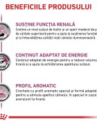 ROYAL CANIN VETERINARY DIET ROYAL CANIN VD Renal XS-XL dietă veterinară hrană uscată câini sistem renal 7kg