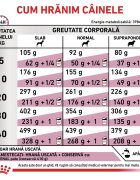 ROYAL CANIN VETERINARY DIET ROYAL CANIN VD Renal XS-XL dietă veterinară hrană uscată câini sistem renal 7kg