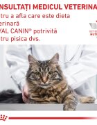 ROYAL CANIN VETERINARY DIET ROYAL CANIN VD Satiety Weight Management dietă veterinară hrană uscată pisici obezitate 1.5kg