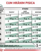 ROYAL CANIN VETERINARY DIET ROYAL CANIN VD Satiety Weight Management dietă veterinară plic hrană umedă pisici obezitate (în sos) bax 85g x 12buc