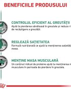 ROYAL CANIN VETERINARY DIET ROYAL CANIN VD Satiety XS-XL dietă veterinară conservă hrană umedă câini obezitate (pate) 410g