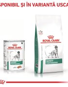 ROYAL CANIN VETERINARY DIET ROYAL CANIN VD Satiety XS-XL dietă veterinară conservă hrană umedă câini obezitate (pate) 410g