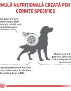 ROYAL CANIN VETERINARY DIET ROYAL CANIN VD Satiety XS-XL dietă veterinară hrană uscată câini obezitate 12kg