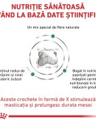 ROYAL CANIN VETERINARY DIET ROYAL CANIN VD Satiety XS-XL dietă veterinară hrană uscată câini obezitate 12kg