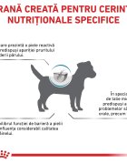 ROYAL CANIN VETERINARY DIET ROYAL CANIN VD Skin Care Small Dog XS-XL dietă veterinară hrană uscată câini afecțiuni dermatologice 4kg