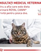 ROYAL CANIN VETERINARY DIET ROYAL CANIN VD Skin&Coat dietă veterinară hrană uscată pisici afecțiuni dermatologice 1.5kg