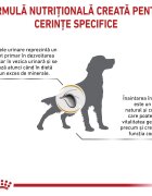 ROYAL CANIN VETERINARY DIET ROYAL CANIN VD Urinary S/O Ageing 7+ S-XL dietă veterinară hrană uscată câini senior sistem urinar 8kg