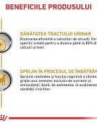 ROYAL CANIN VETERINARY DIET ROYAL CANIN VD Urinary S/O Ageing 7+ XS-XL dietă veterinară plic hrană umedă câini senior sistem urinar (pate) bax 85g x 12buc