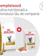ROYAL CANIN VETERINARY DIET ROYAL CANIN VD Urinary S/O dietă veterinară hrană uscată pisici sistem urinar 3.5kg