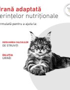 ROYAL CANIN VETERINARY DIET ROYAL CANIN VD Urinary S/O dietă veterinară hrană uscată pisici sistem urinar 7kg