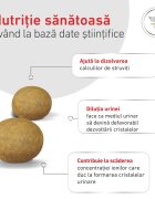 ROYAL CANIN VETERINARY DIET ROYAL CANIN VD Urinary S/O dietă veterinară hrană uscată pisici sistem urinar 7kg