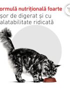 ROYAL CANIN VETERINARY DIET ROYAL CANIN VD Urinary S/O dietă veterinară hrană uscată pisici sistem urinar 7kg
