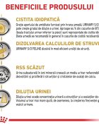 ROYAL CANIN VETERINARY DIET ROYAL CANIN VD Urinary S/O dietă veterinară plic hrană umedă pisici sistem urinar (în sos) bax 85g x 12buc