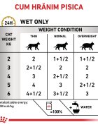 ROYAL CANIN VETERINARY DIET ROYAL CANIN VD Urinary S/O dietă veterinară plic hrană umedă pisici sistem urinar (în sos) bax 85g x 12buc