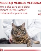 ROYAL CANIN VETERINARY DIET ROYAL CANIN VD Urinary S/O dietă veterinară plic hrană umedă pisici sistem urinar (în sos) bax 85g x 12buc