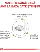 ROYAL CANIN VETERINARY DIET ROYAL CANIN VD Urinary S/O M-XL dietă veterinară hrană uscată câini sistem urinar 13kg
