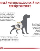 ROYAL CANIN VETERINARY DIET ROYAL CANIN VD Urinary S/O M-XL dietă veterinară hrană uscată câini sistem urinar 7.5kg