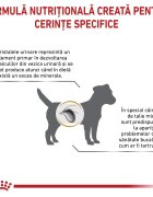 ROYAL CANIN VETERINARY DIET ROYAL CANIN VD Urinary S/O Small Dog XS-S dietă veterinară hrană uscată câini sistem urinar 8kg
