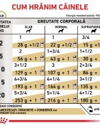 ROYAL CANIN VETERINARY DIET ROYAL CANIN VD Urinary S/O XS-XL dietă veterinară conservă hrană umedă câini sistem urinar (pate) 410g