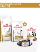 ROYAL CANIN VETERINARY DIET Urinary S/O Treats punguță recompense funcționale câini sistem urinar 230g