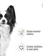 Royal Canin X-Small Adult hrană umedă câini (în sos) 85g