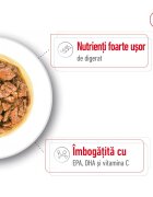Royal Canin X-Small Adult hrană umedă câini (în sos) 85g