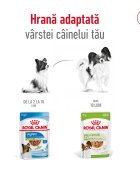 Royal Canin X-Small Adult hrană umedă câini (în sos) 85g