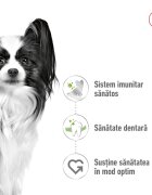 Royal Canin X-Small Adult hrană uscată câini 500g