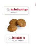 Royal Canin X-Small Adult hrană uscată câini 500g