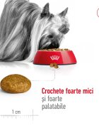 Royal Canin X-Small Adult hrană uscată câini 500g