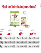 Royal Canin X-Small Adult hrană uscată câini 500g