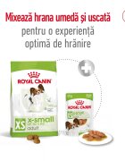 Royal Canin X-Small Adult hrană uscată câini 500g