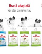 Royal Canin X-Small Adult hrană uscată câini 500g
