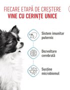 Royal Canin X-Small Puppy hrană uscată câini junior 500g