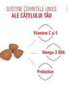 Royal Canin X-Small Puppy hrană uscată câini junior 500g