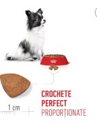 Royal Canin X-Small Puppy hrană uscată câini junior 500g