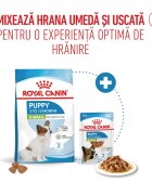 Royal Canin X-Small Puppy hrană uscată câini junior 500g