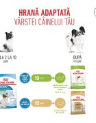 Royal Canin X-Small Puppy hrană uscată câini junior 500g