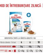 Royal Canin X-Small Puppy hrană uscată câini junior 500g