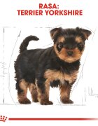 Royal Canin Yorkshire Puppy hrană uscată câini junior 1.5kg
