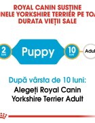 Royal Canin Yorkshire Puppy hrană uscată câini junior 1.5kg