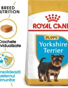 Royal Canin Yorkshire Puppy hrană uscată câini junior 500g