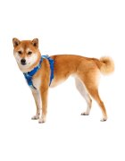 RUFFWEAR Front Rage ham prindere dublă(piept&spate) dresaj câini ajustabil reflectorizant Front Rage Coastal Mountains ham prindere dublă(piept&spate) dresaj câini ajustabil reflectorizant albastru L-XL(81-107cm)