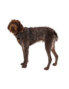 RUFFWEAR Front Rage ham prindere dublă(piept&spate) dresaj câini ajustabil reflectorizant Front Rage Moonlight Mountains ham prindere dublă(piept&spate) dresaj câini ajustabil reflectorizant maro și gri S(56-69cm)