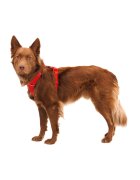 RUFFWEAR Front Rage ham prindere dublă(piept&spate) dresaj câini ajustabil reflectorizant Front Rage Red Canyon ham prindere dublă(piept&spate) dresaj câini ajustabil reflectorizant roșu L-XL(81-107cm)