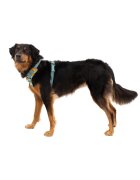 RUFFWEAR Front Rage ham prindere dublă(piept&spate) dresaj câini ajustabil reflectorizant Front Rage Spring Mountains ham prindere dublă(piept&spate) dresaj câini ajustabil reflectorizant verde și portocaliu M(69-81cm)